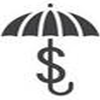 �ʲ�����